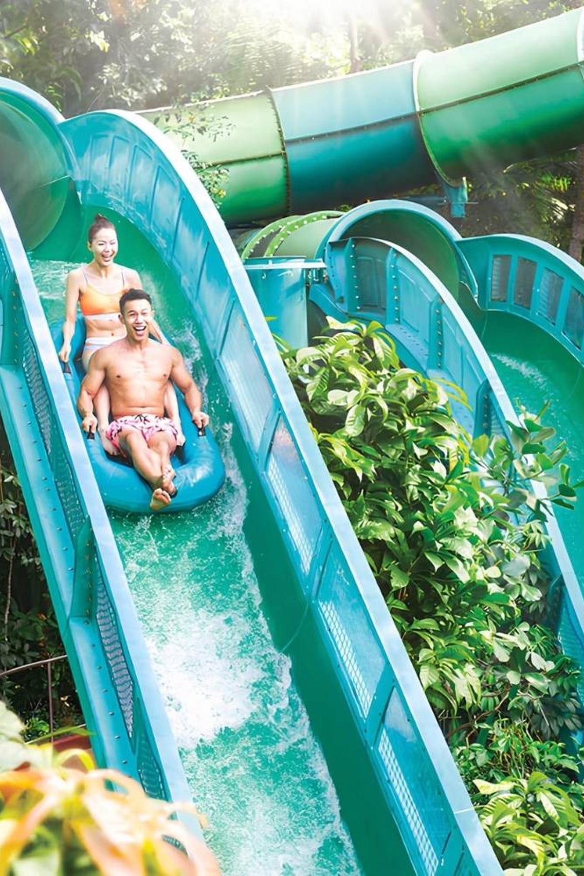 Adventure Cove Waterpark: Slides, Rides & Marine Encounters