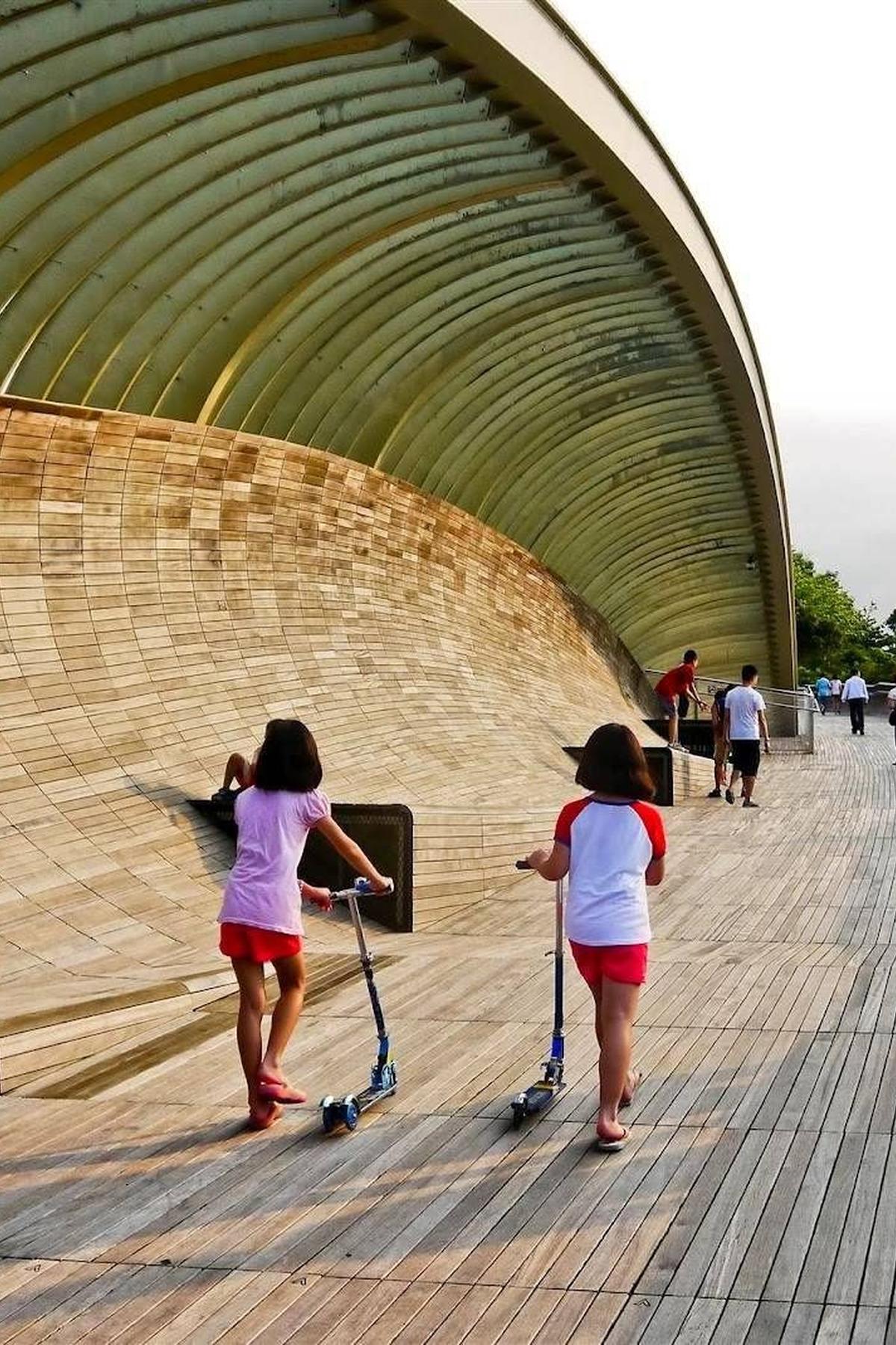 Alexandra Arch: Leaf-like Bridge