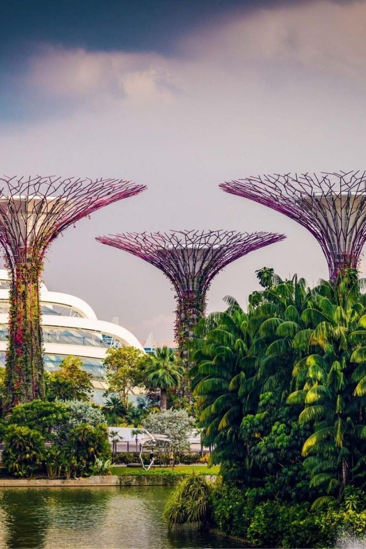 Bay East Garden (Gardens by the Bay): Serene Waterside Views