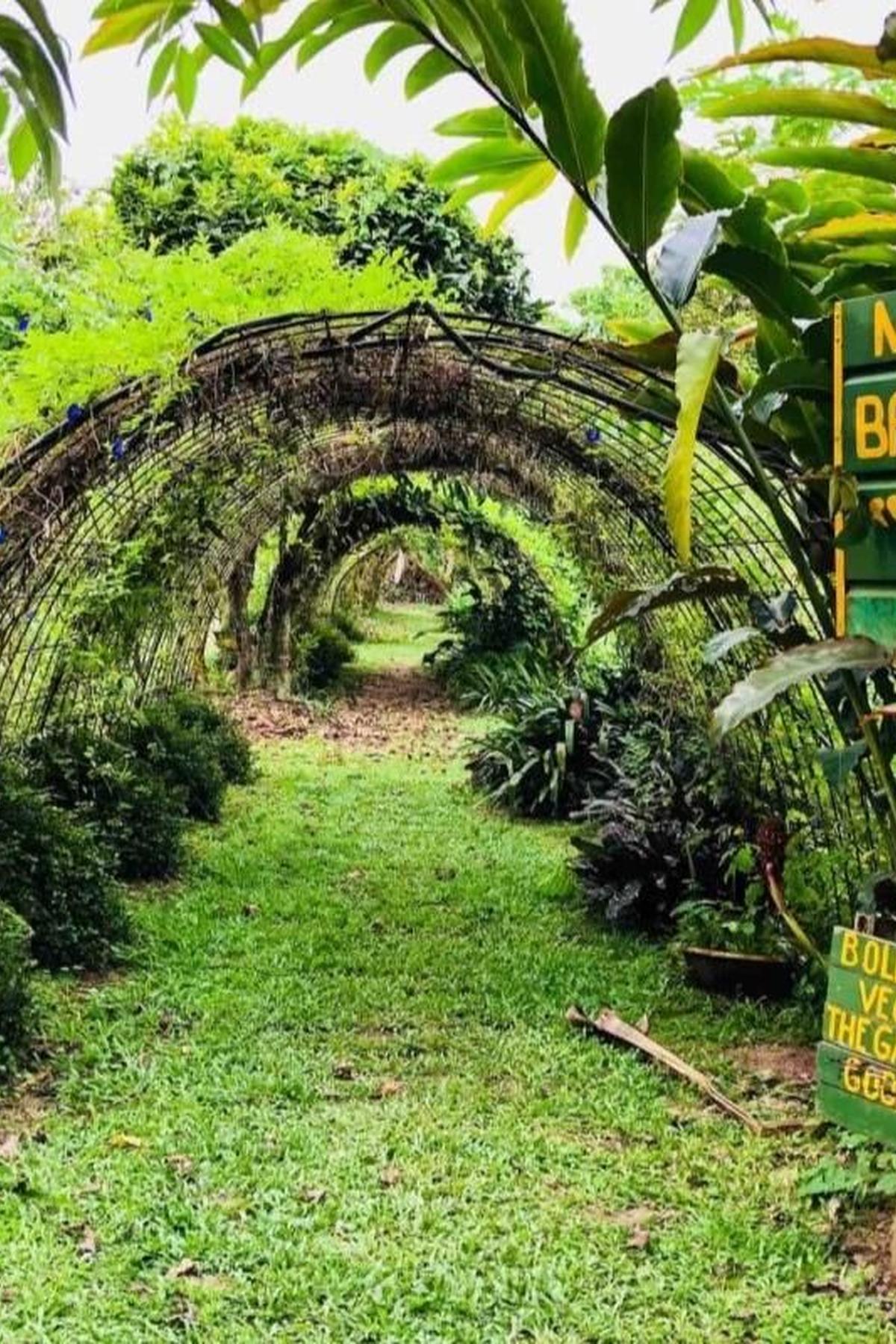 Bollywood Veggies: Organic Farm & Bistro