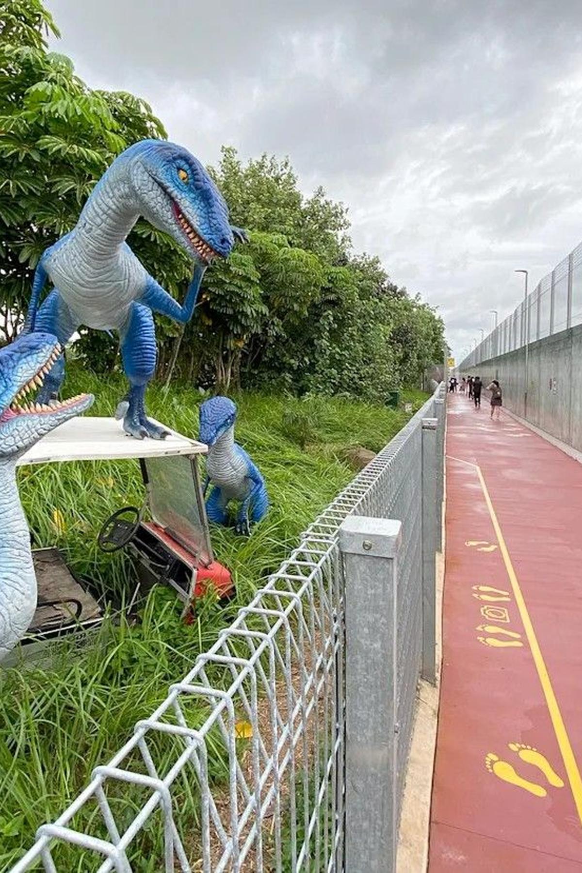 Changi Airport Connector & Changi Jurassic Mile: Outdoor Cycling Path