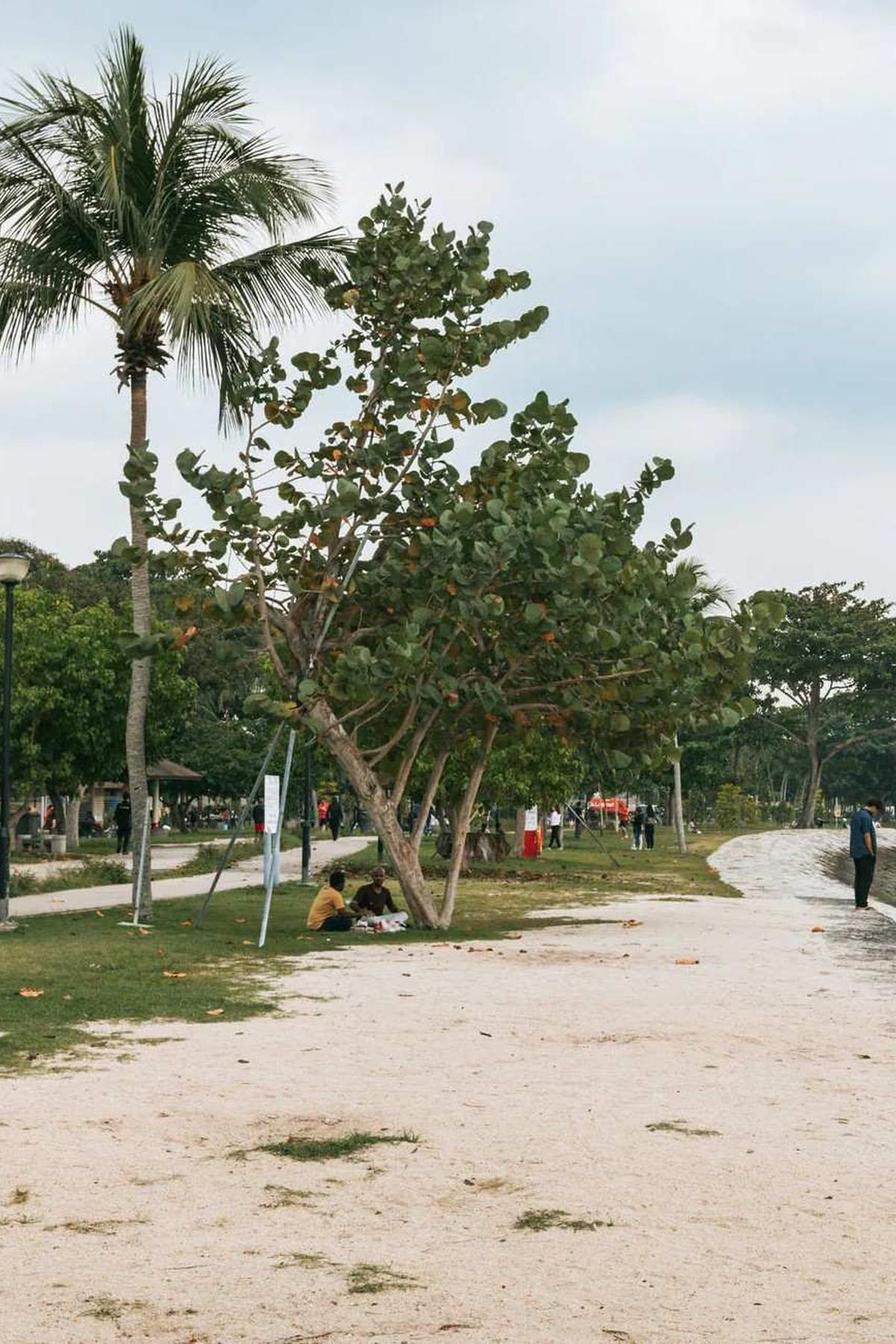 Changi Beach Park: Tranquil Coastal Escape