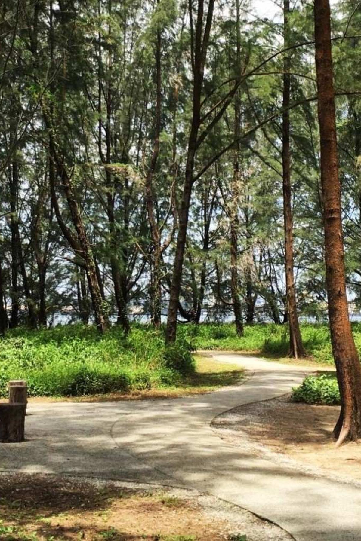 Coney Island Park (Pulau Serangoon): Rustic Coastal Park