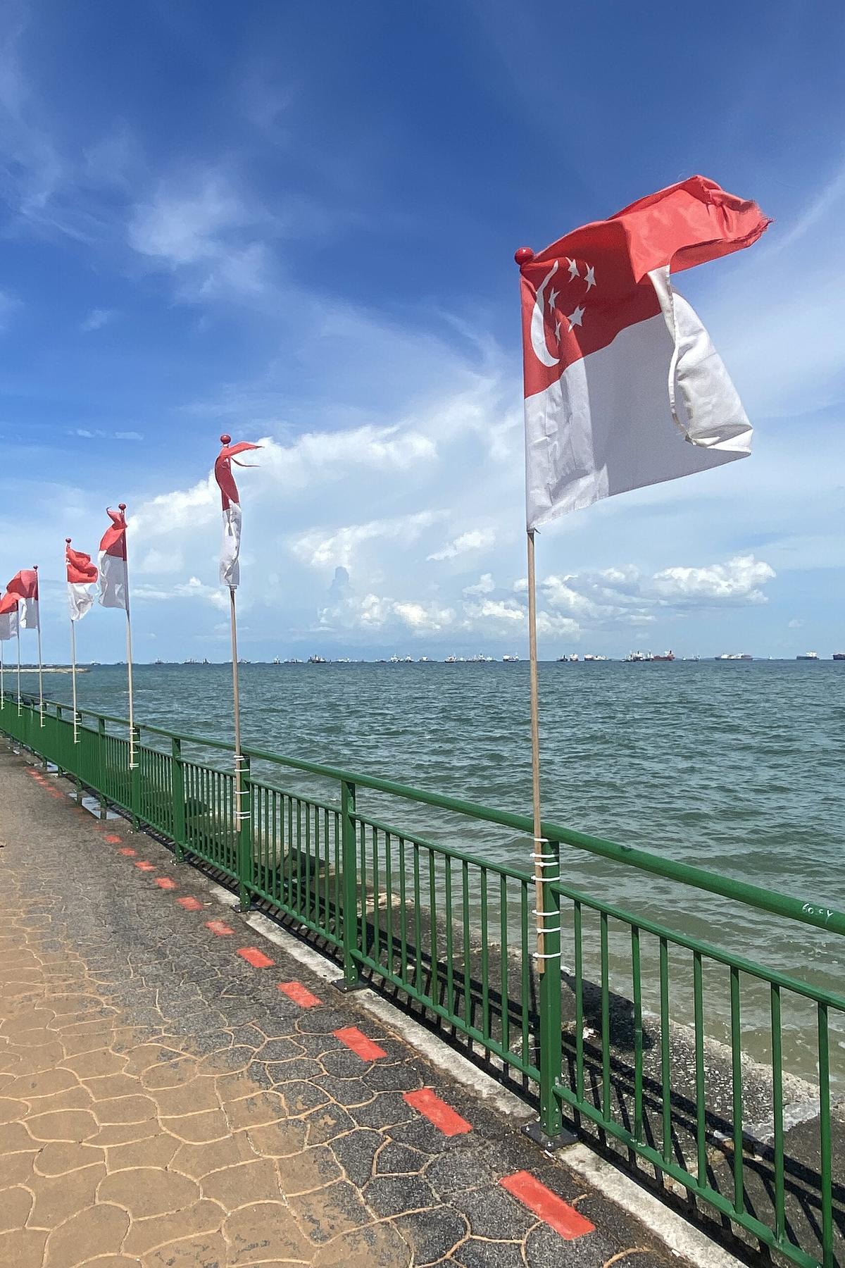 East Coast & Changi: Coastal Charms and Aviation Wonders