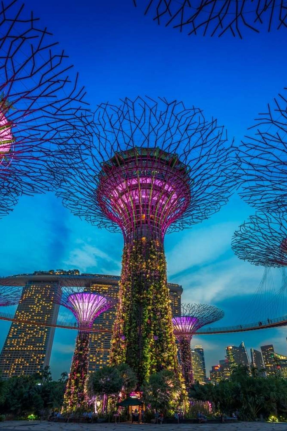 Gardens by the Bay: A Marvel of Nature and Technology