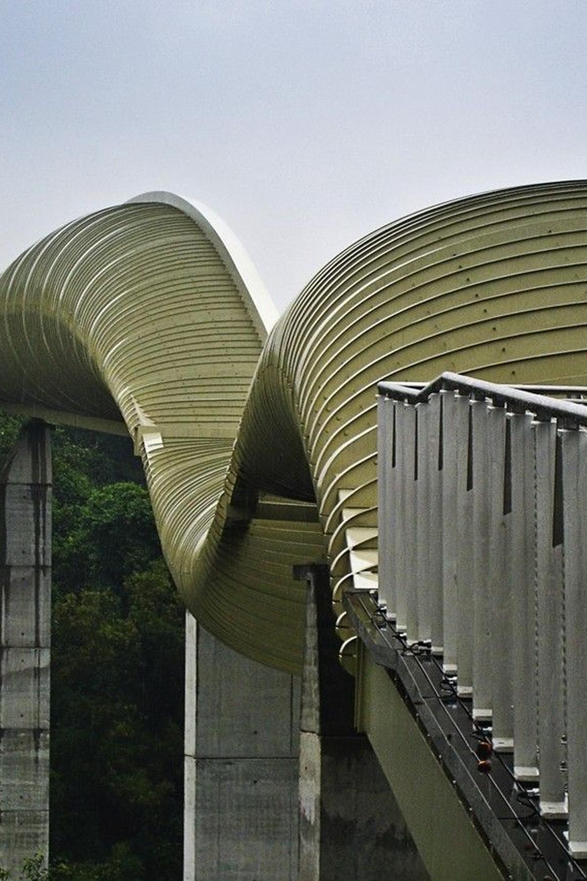 Henderson Waves: Iconic Wavy Bridge