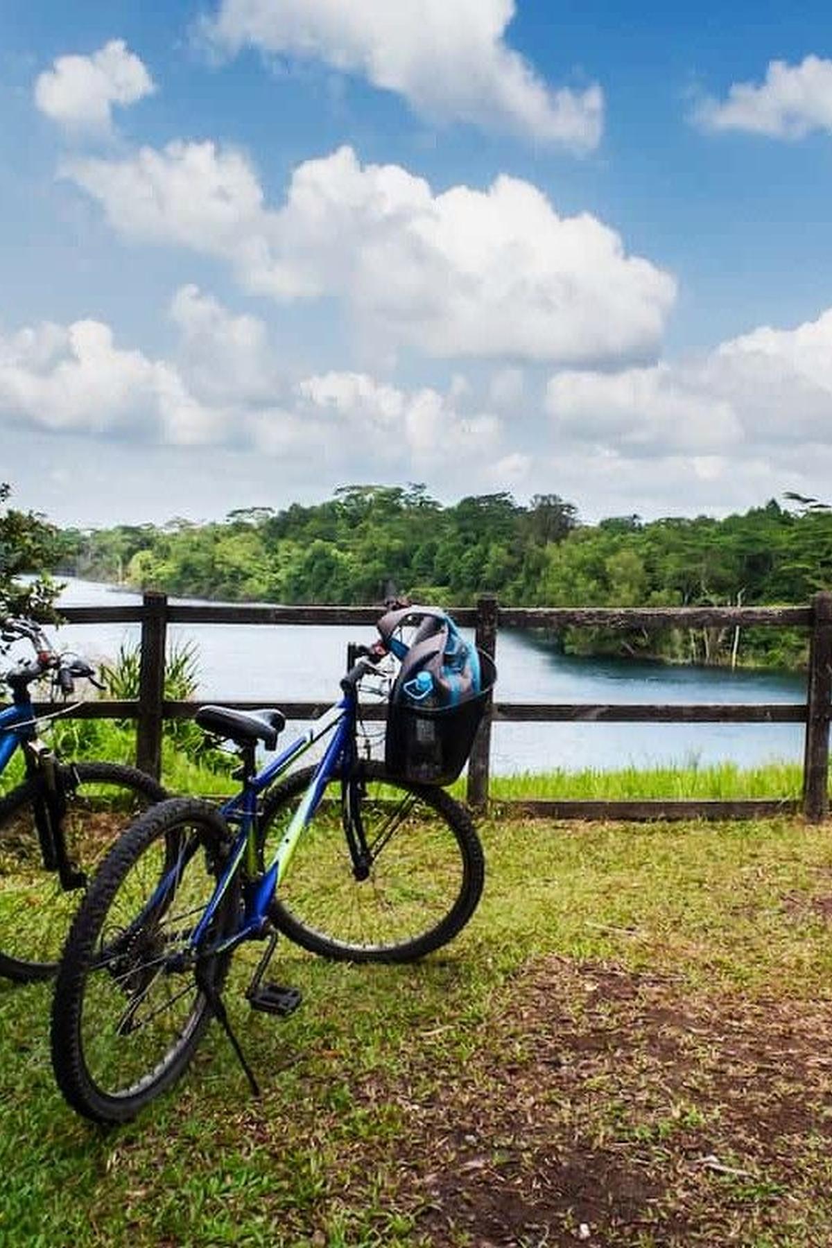 Ketam Mountain Bike Park (Pulau Ubin): Cycling Trails