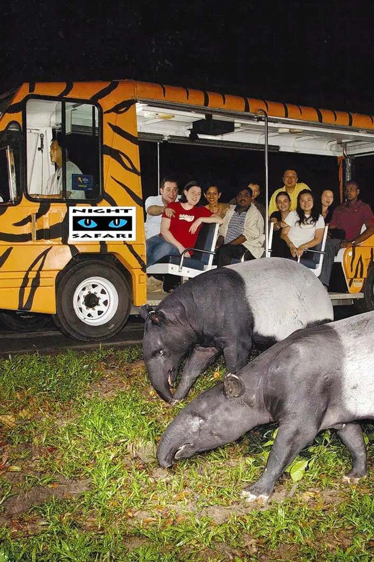 Night Safari: World’s First Nocturnal Zoo