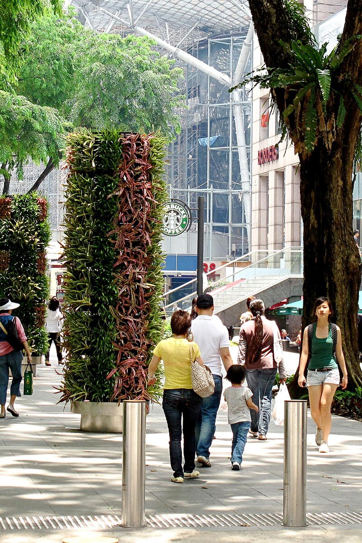 Orchard Road: Singapore's Premier Shopping and Lifestyle District