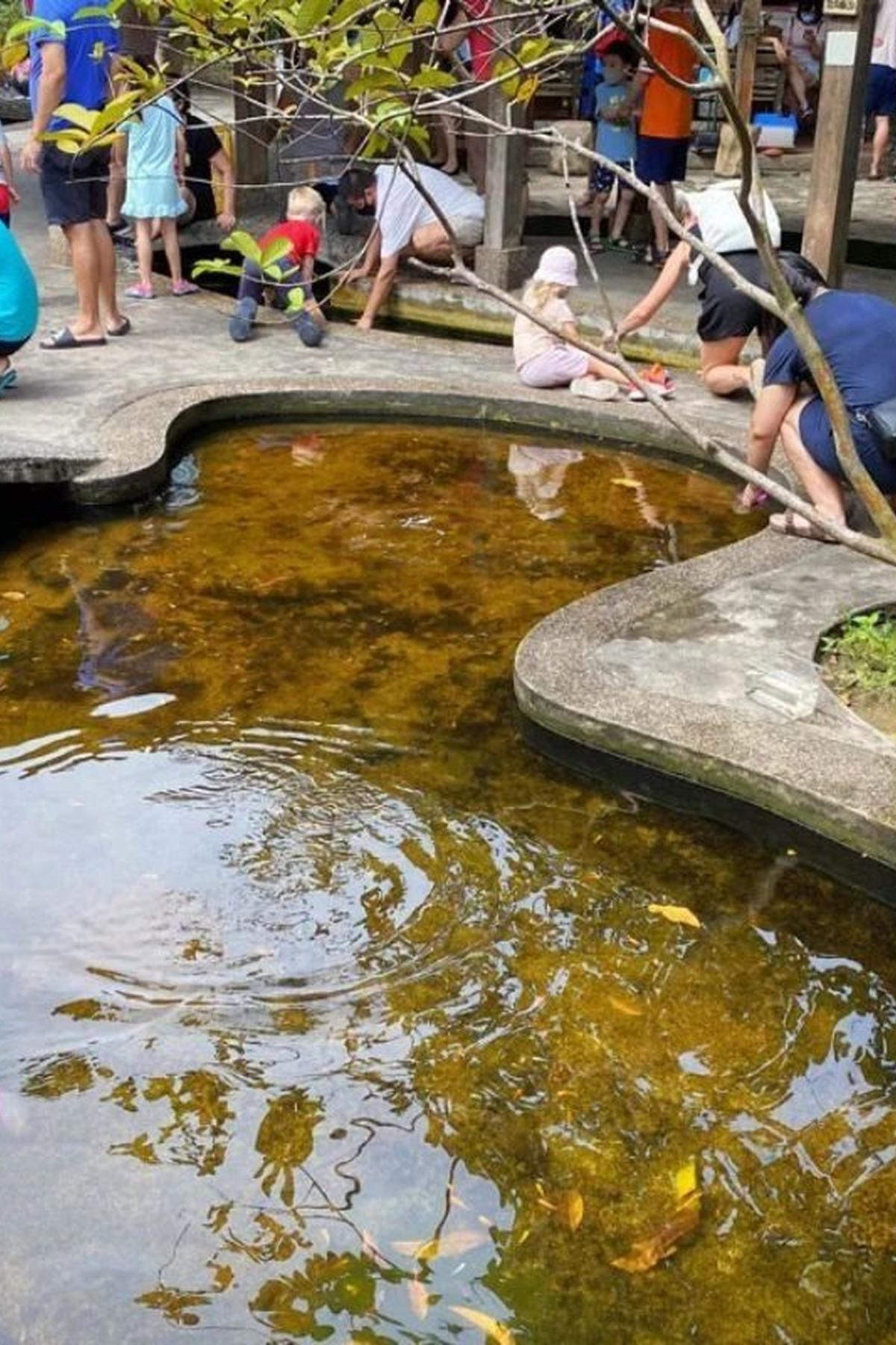 Qian Hu Fish Farm: Ornamental Fish Sanctuary