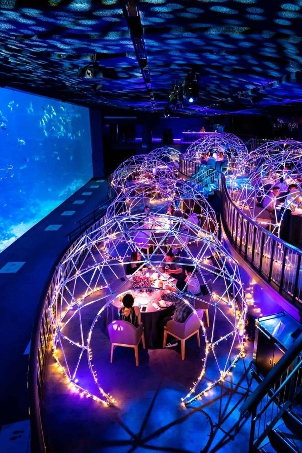 S.E.A. Aquarium: Dive into the Underwater World