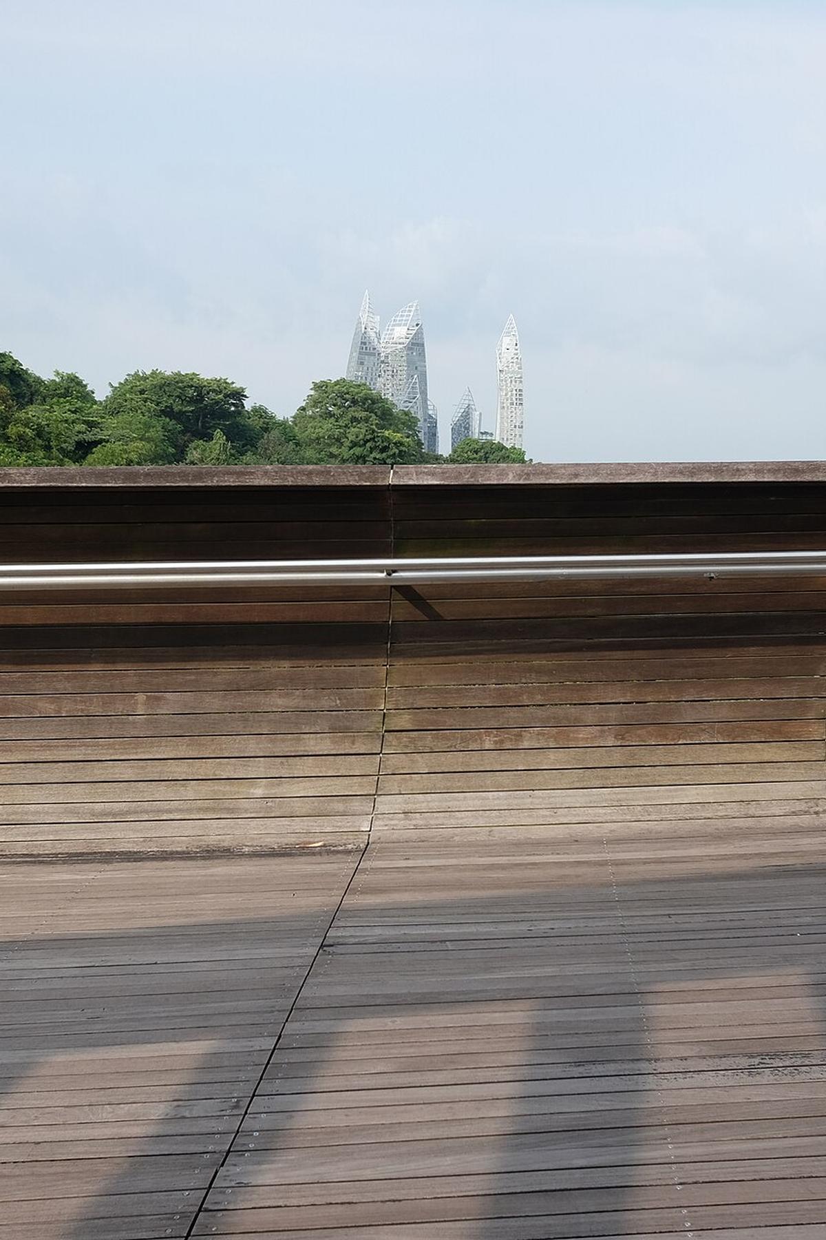 Southern Ridges: Panoramic Views & Elevated Walks