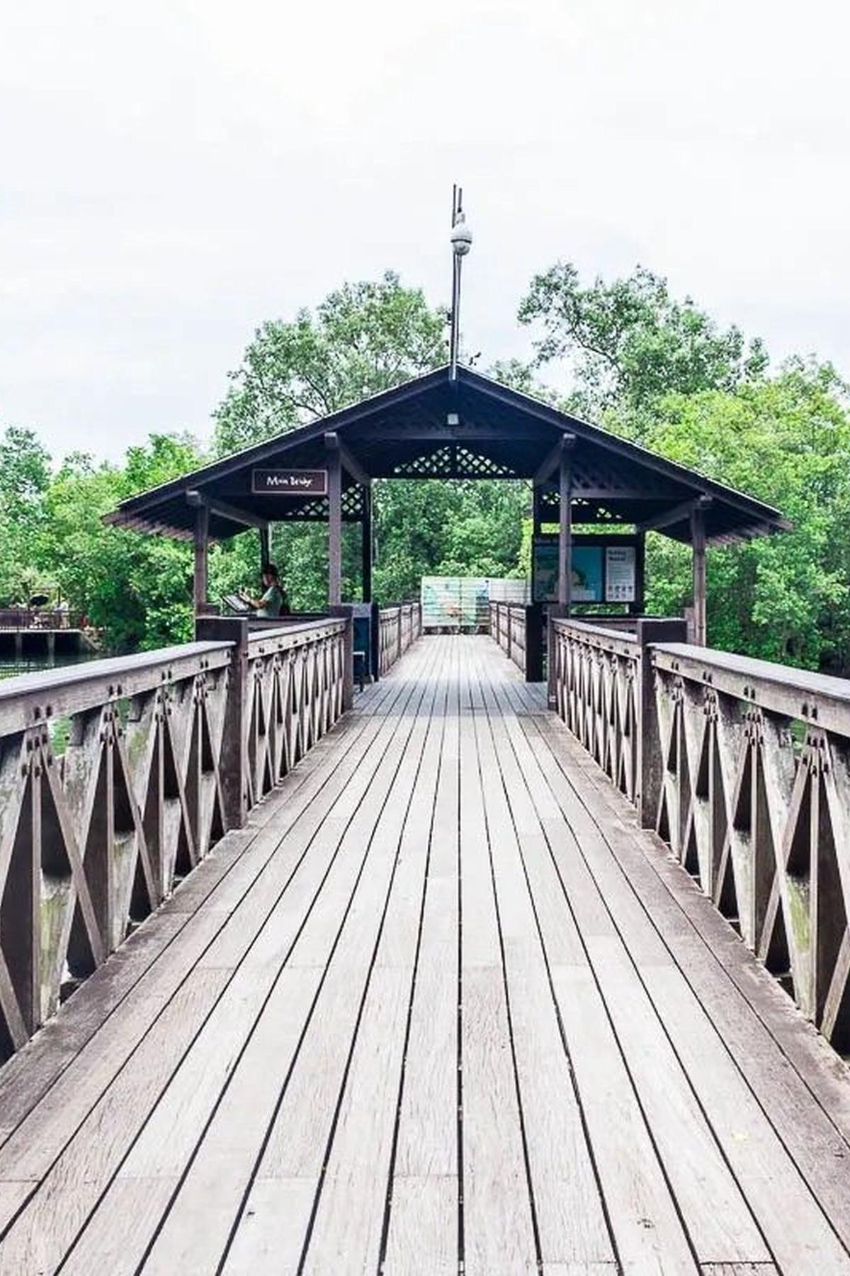 Sungei Buloh Wetland Reserve: Mangroves & Migratory Birds