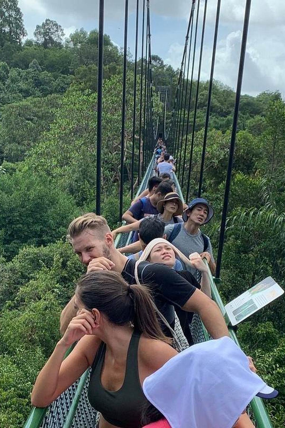 TreeTop Walk (MacRitchie): Canopy Adventure
