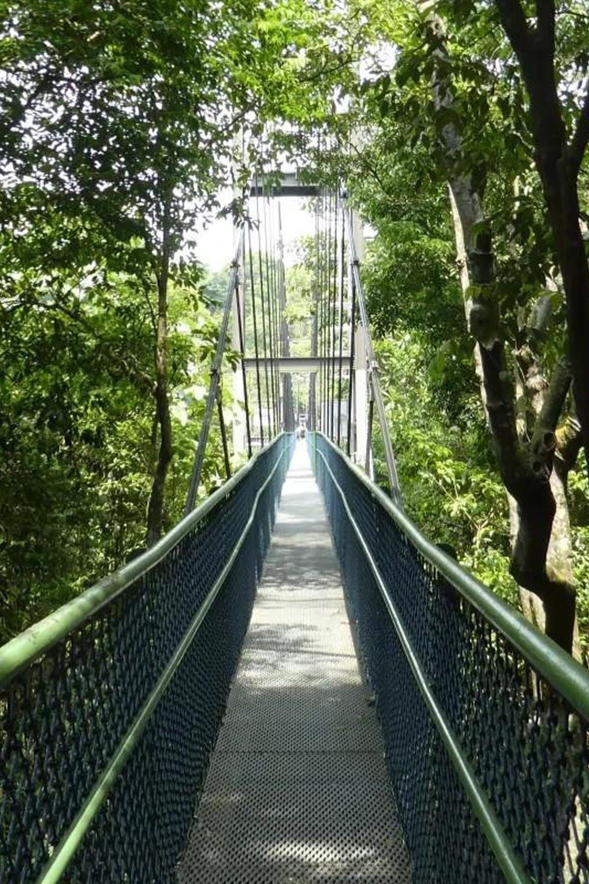 Windsor Nature Park: Gateway to MacRitchie