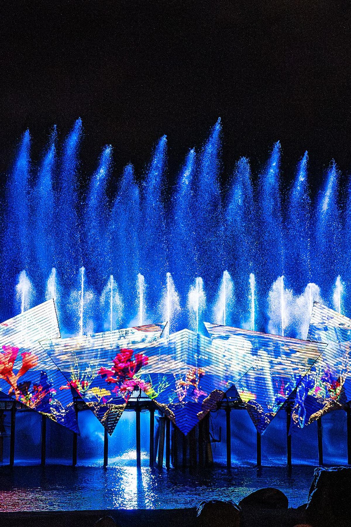 Wings of Time: Award-Winning Night Show