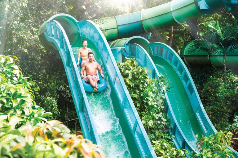 Adventure Cove Waterpark Slides, Rides & Marine Encounters