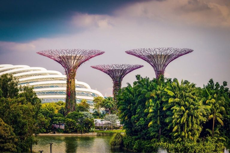 Bay East Garden (Gardens by the Bay) Serene Waterside Views