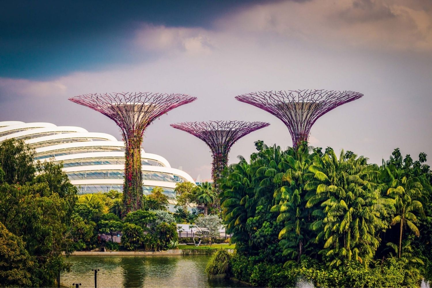 Bay East Garden (Gardens by the Bay) Serene Waterside Views