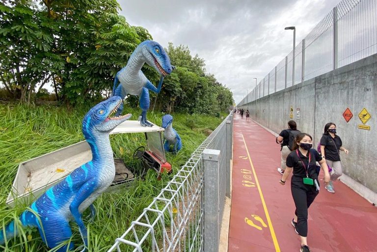 Changi Airport Connector & Changi Jurassic Mile Outdoor Cycling Path
