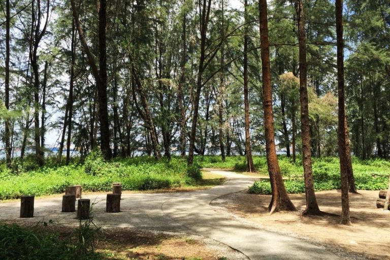 Coney Island Park (Pulau Serangoon) Rustic Coastal Park