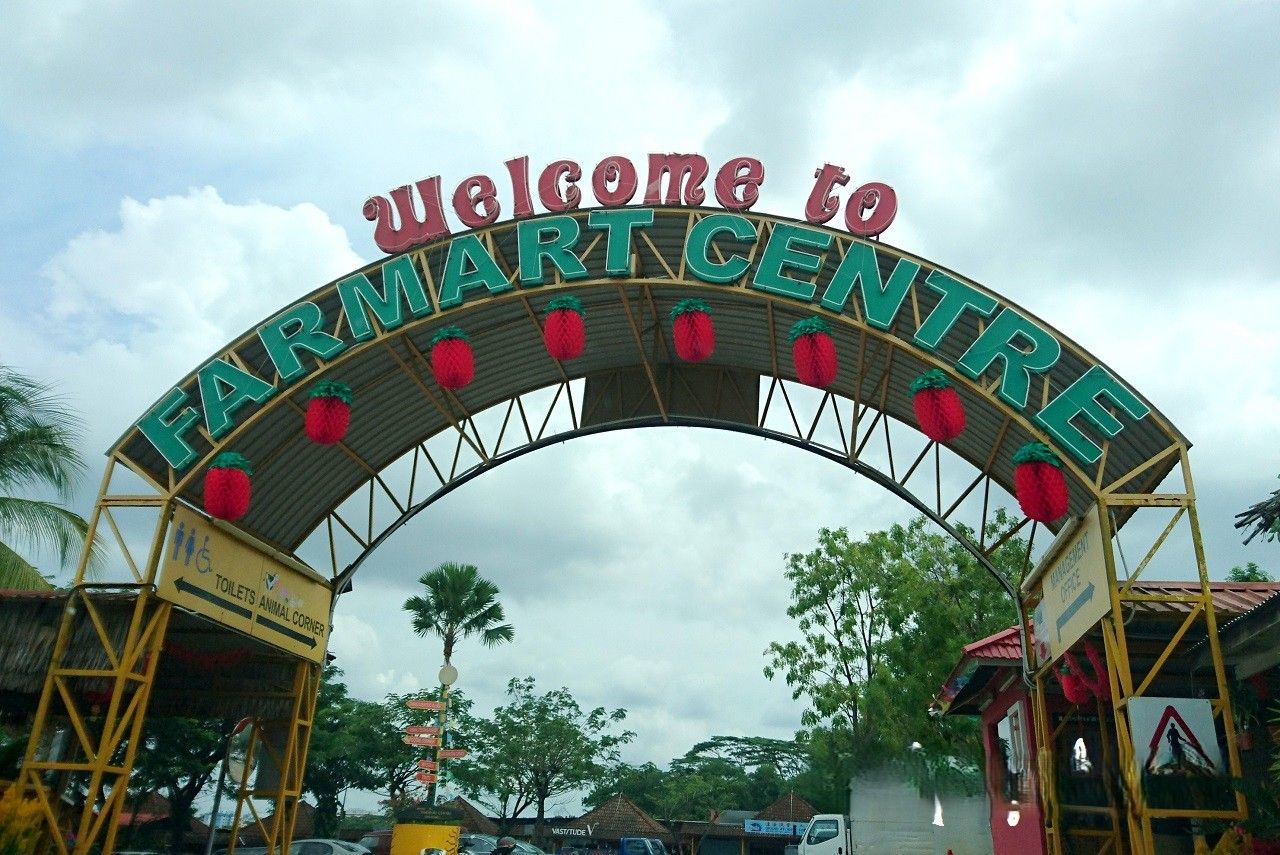 Farmart Centre Rustic Farm Experience