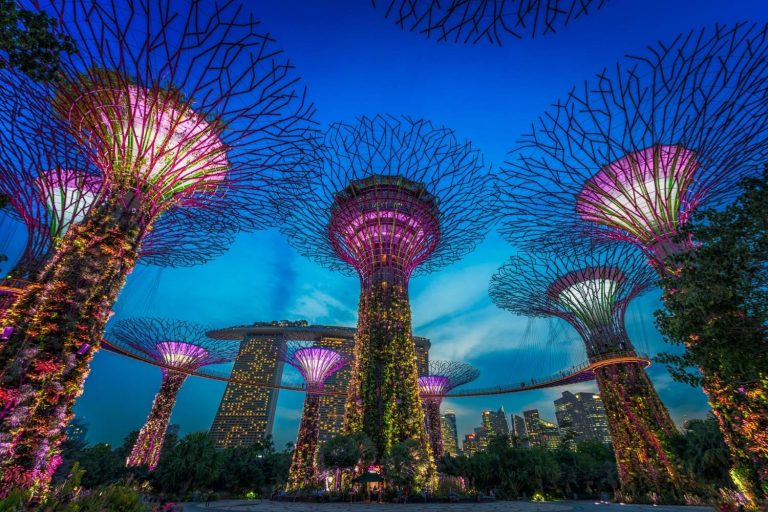 Gardens by the Bay A Marvel of Nature and Technology