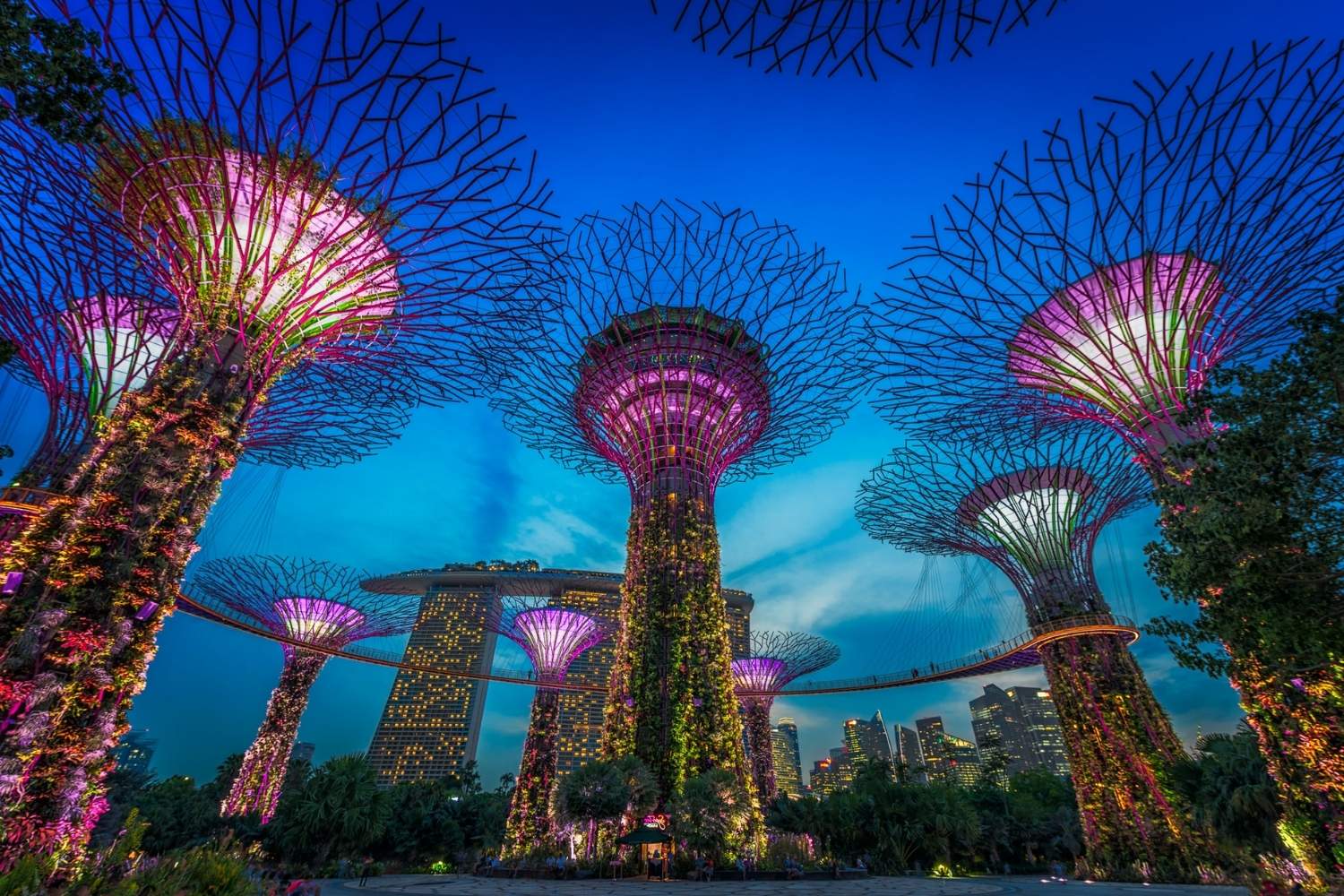 Gardens by the Bay A Marvel of Nature and Technology