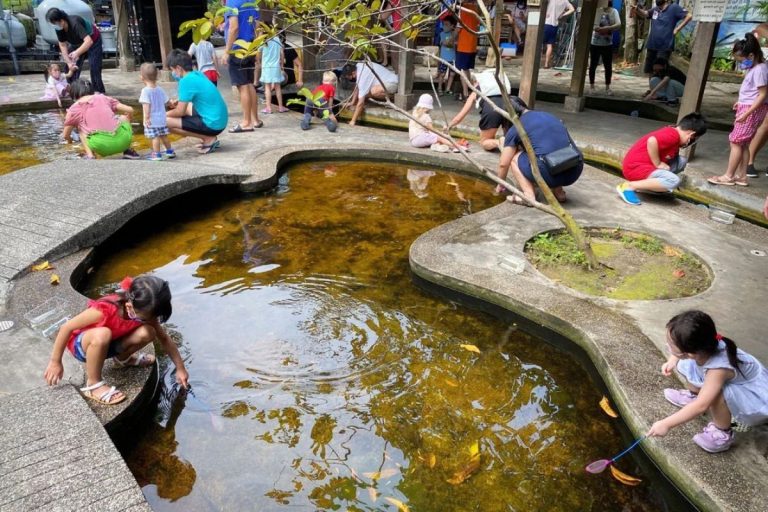 Qian Hu Fish Farm: Ornamental Fish Sanctuary