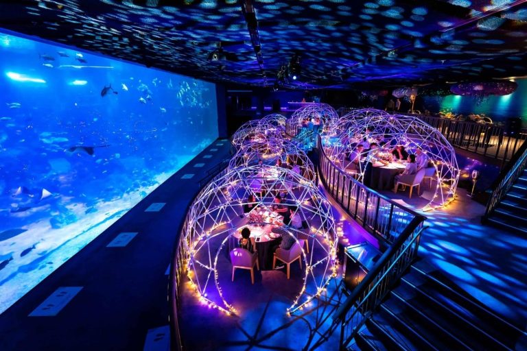 S.E.A. Aquarium Dive into the Underwater World