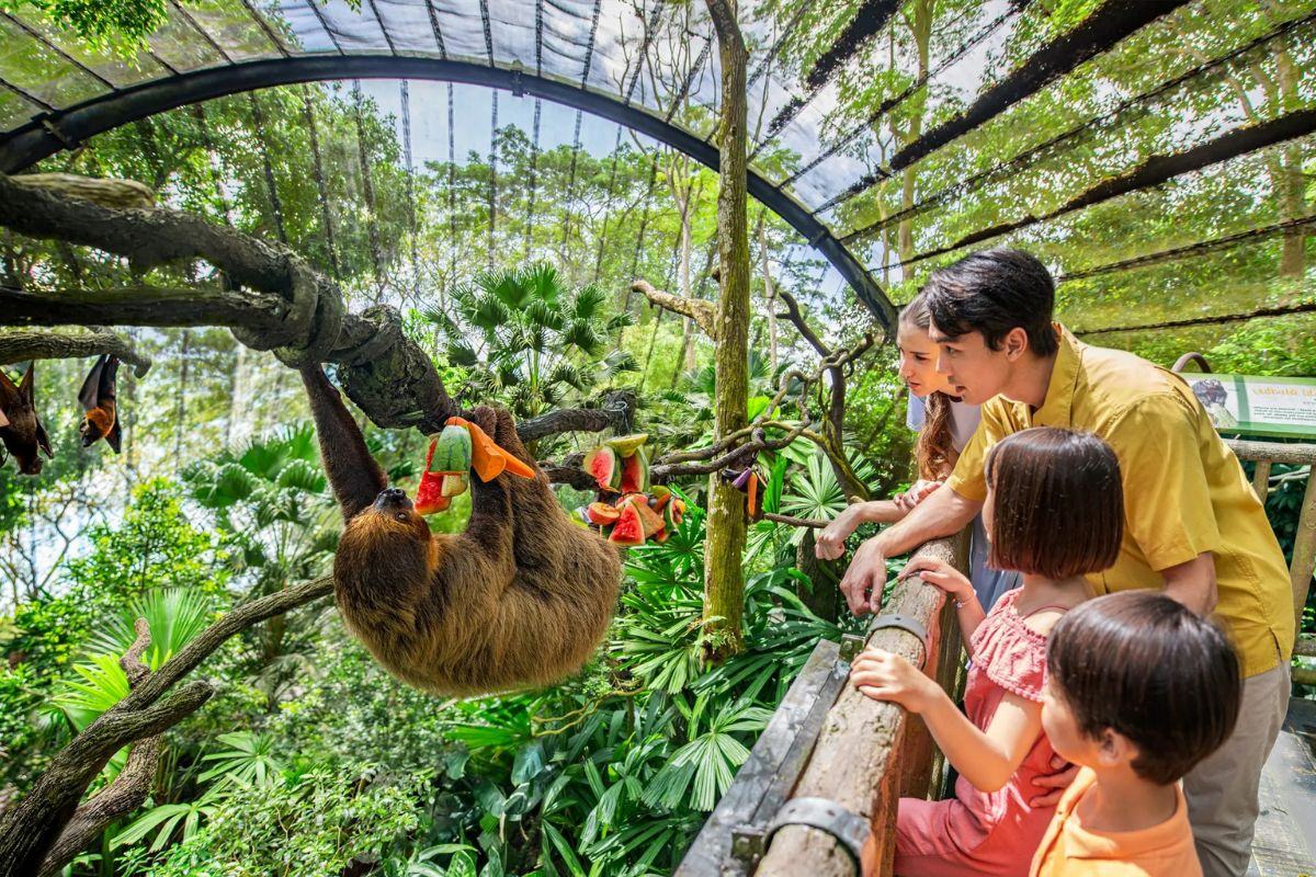 Singapore Zoo Award-Winning Open Concept Zoo