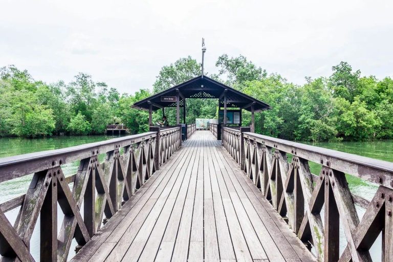 Sungei Buloh Wetland Reserve Mangroves & Migratory Birds