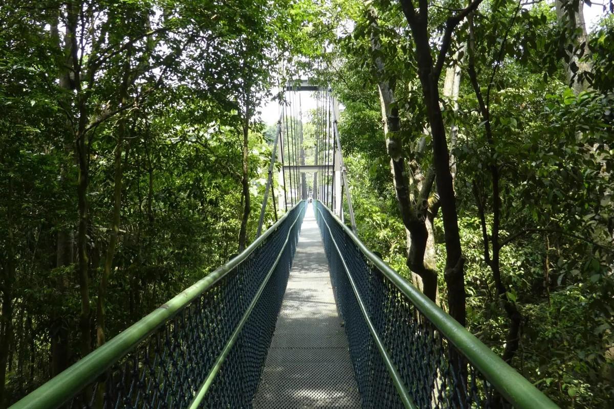 Windsor Nature Park Gateway to MacRitchie
